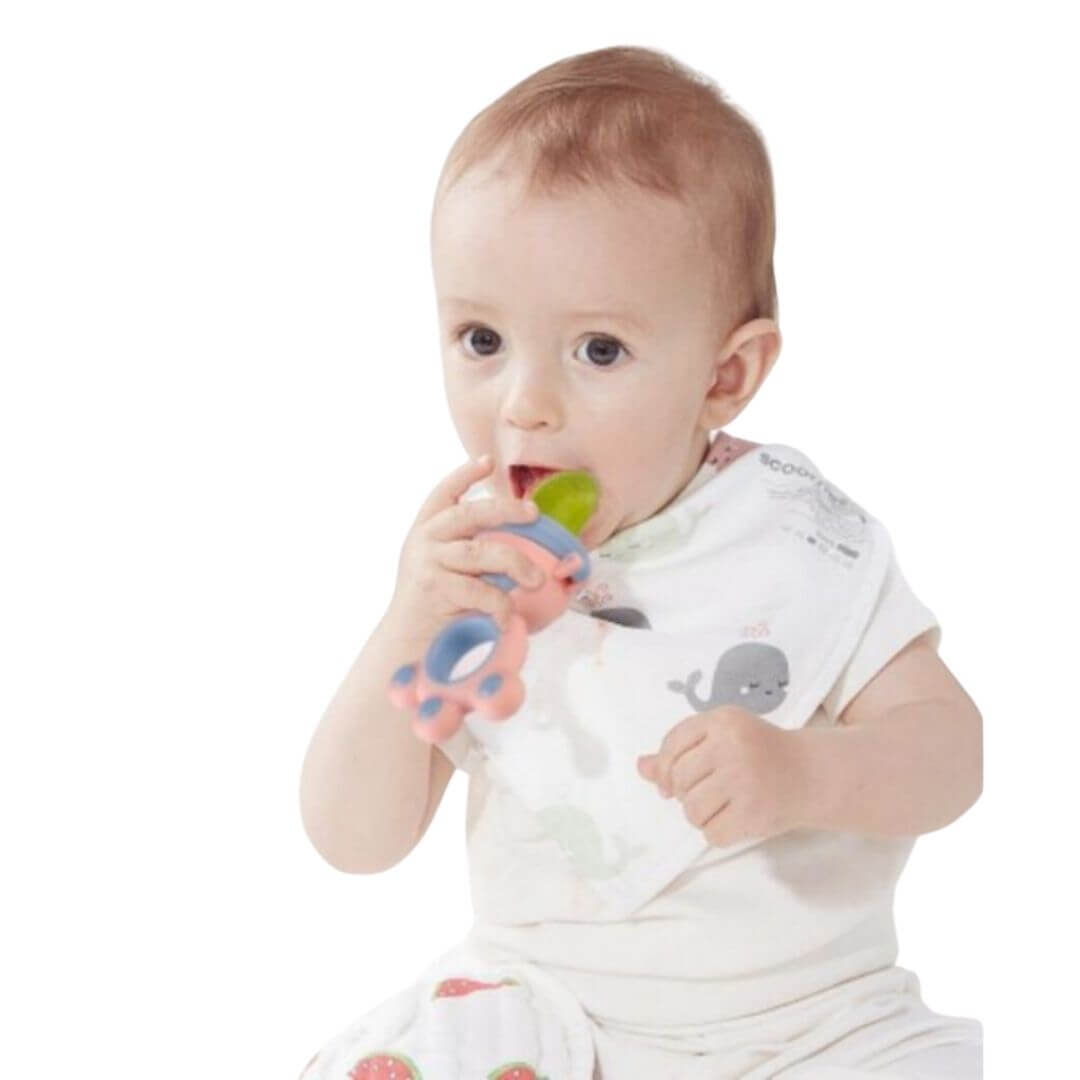 TETINE GRIGNOTEUSE - PERL'PACIFIER™ – tybloo