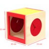 STEM Wooden Sensory Intelligence Box