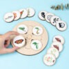 Montessori Life Cycle Learning Board Educational Toy