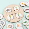 Montessori Life Cycle Learning Board Educational Toy