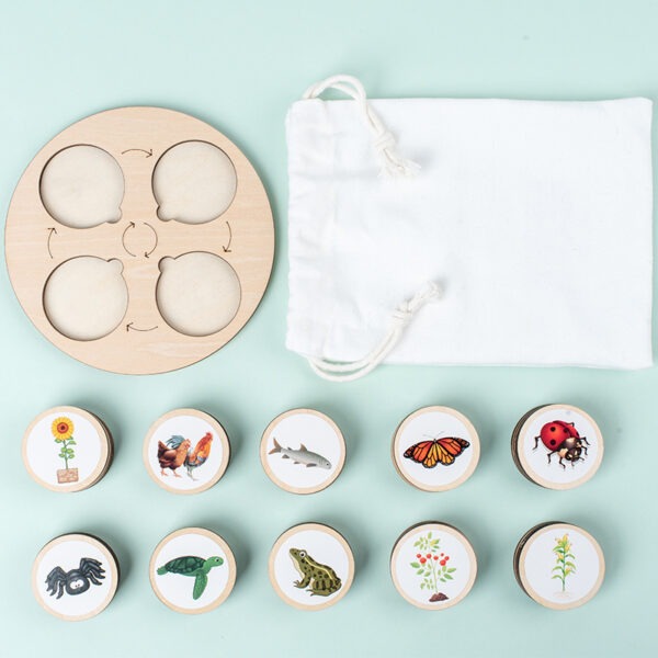 Montessori Life Cycle Learning Board Educational Toy